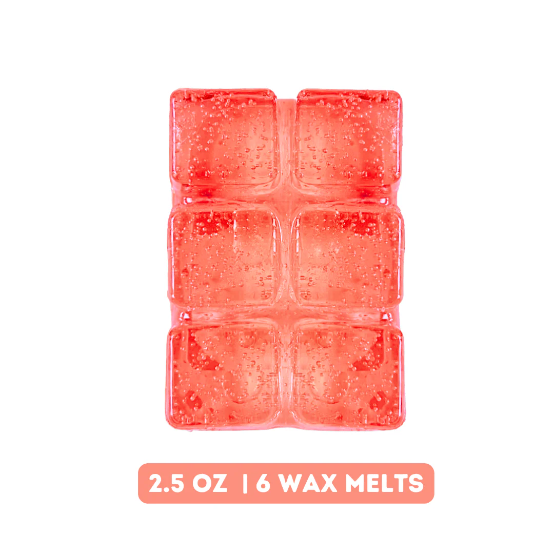 Champagne Wish Gel Wax Melts - Image 3