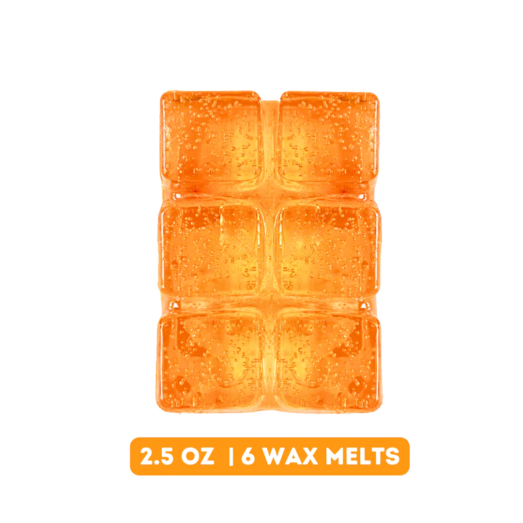 Citrus Pine Gel Wax Melts - Image 3