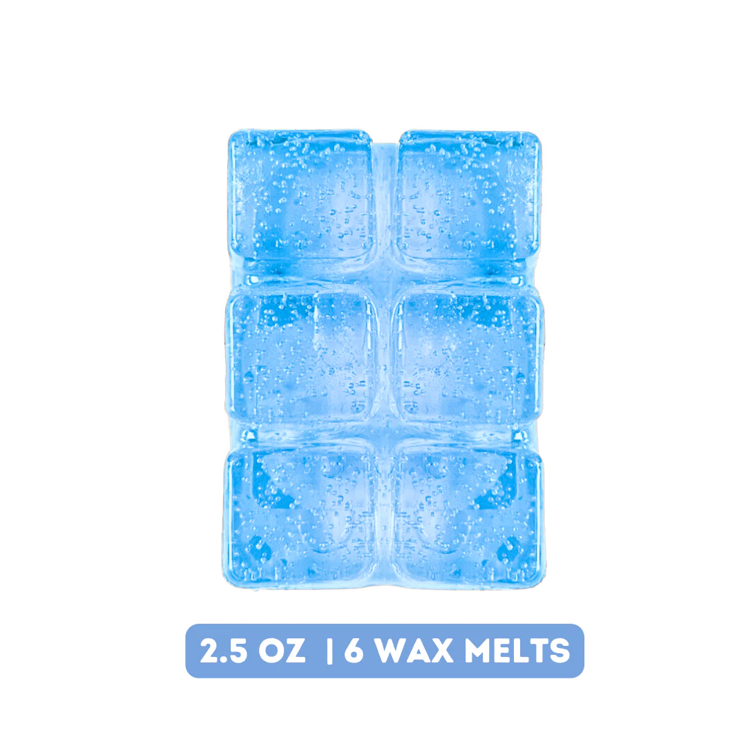 Winter Air Gel Wax Melts - Image 3